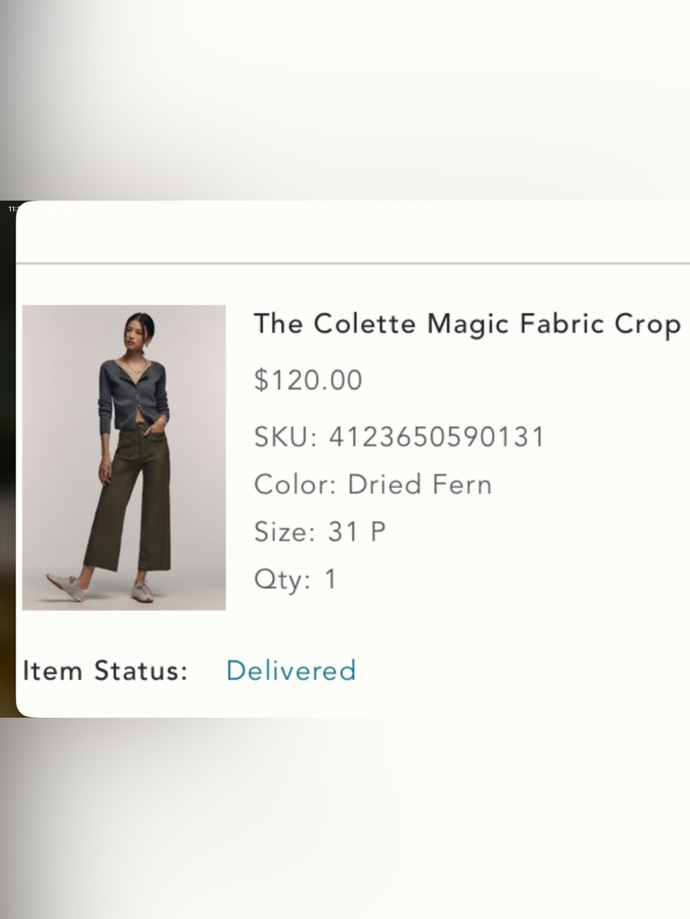 Anthropologie Colette pants — Dried Fern Green